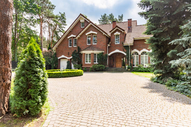 Best Driveway Pavers Contractor  in Elmo, TX