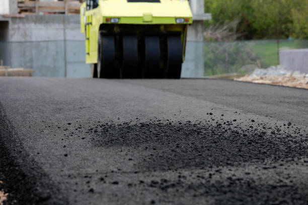 Best Best Driveway Pavers  in Elmo, TX