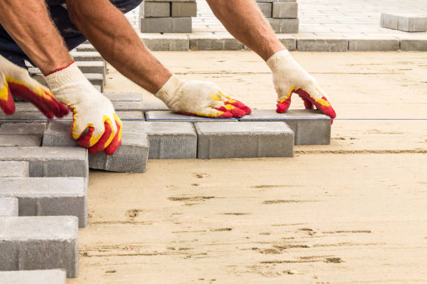 Best Affordable Driveway Paving  in Elmo, TX