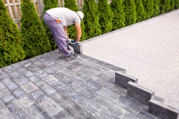 Best Professional Driveway Pavers  in Elmo, TX