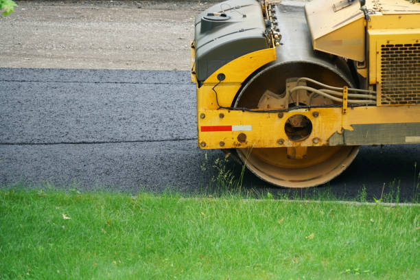 Best Local Driveway Pavers  in Elmo, TX
