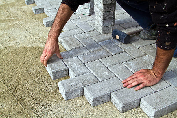 Best Local Driveway Pavers  in Elmo, TX
